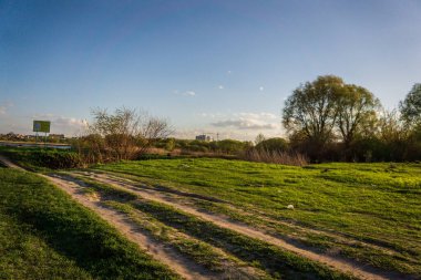 Günbatımı gökyüzünün altında bulutlu yeşil çayır