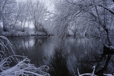 Nehir beyaz frost ile kaplı kış ve ağaç dallarında
