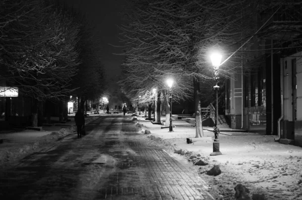 Paisagem Inverno Noturno Beco Parque Cidade — Fotografia de Stock