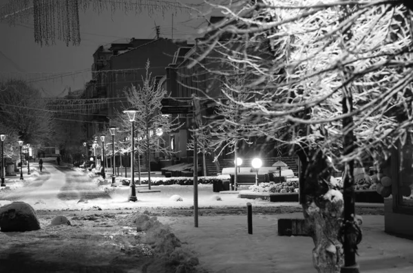 City Park Ara Sokakta Gece Kış Manzarası — Stok fotoğraf