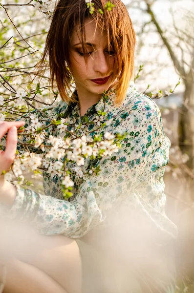 Bela Mulher Atraente Posando Perto Árvore Floração Dia Ensolarado — Fotografia de Stock