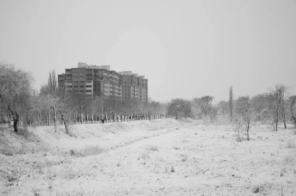 Nieve Paisaje Invierno Cubierta Madera Helada Vista — Foto de Stock