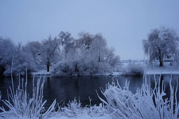 Lago Árvores Congeladas Temporada Inverno — Fotografia de Stock