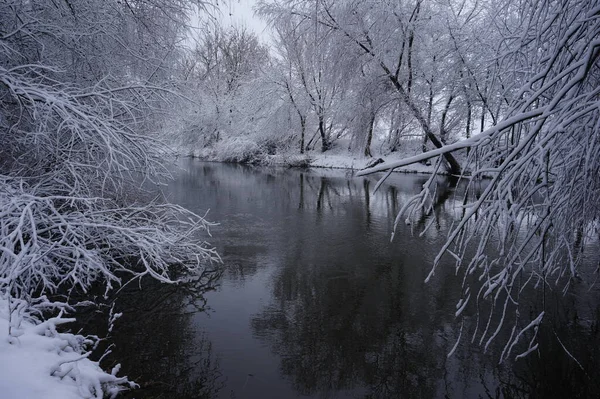 Зимой Река Ветви Деревьев Покрыты Белым Морозом — стоковое фото