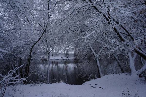 Rio Inverno Galhos Árvores Cobertos Com Geada Branca — Fotografia de Stock