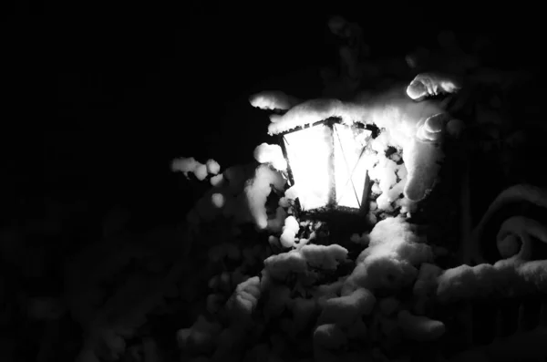 Ночной Зимний Пейзаж Аллее Городского Парка — стоковое фото