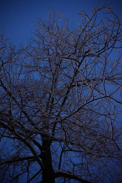 Ville Hiver Enneigée Dans Nuit — Photo