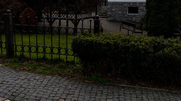 通りの庭の近くにある灰色のテクスチャの歩道タイルの眺め — ストック写真
