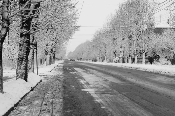 Nieve Paisaje Invierno Cubierta Madera Helada Vista —  Fotos de Stock