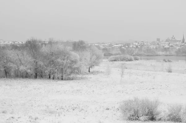 冬季雪景覆盖森林霜冻景观 — 图库照片