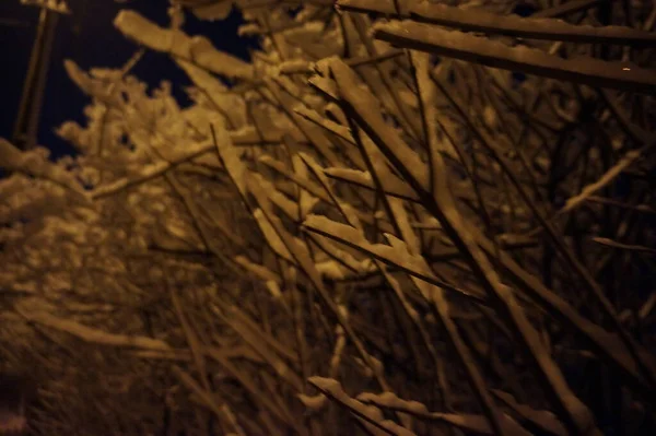 Ville Hiver Enneigée Dans Nuit — Photo