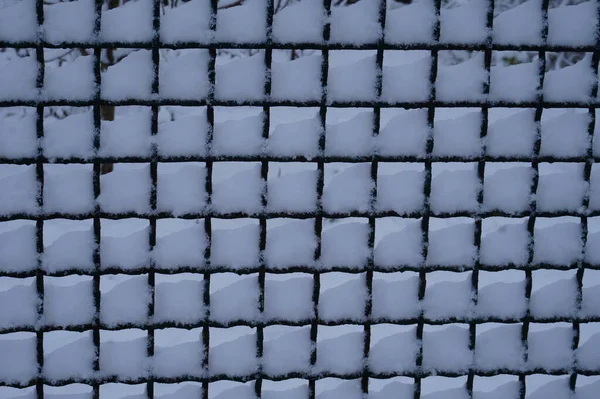 Maschennetze Rabitz Bedeckt Mit Schnee Hintergrund Textur Rostiger Zaun Rabitz — Stockfoto