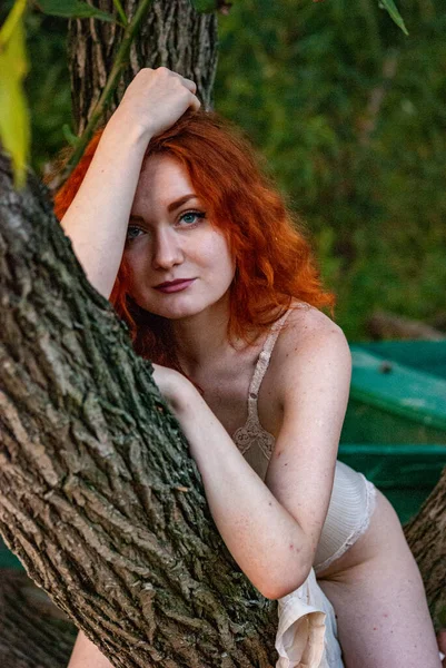 Femme Aux Cheveux Roux Lingerie Posant Sur Arbre Forêt — Photo