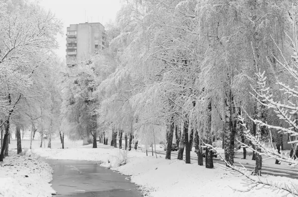 雪景色冬に覆われた森の霜景色 — ストック写真