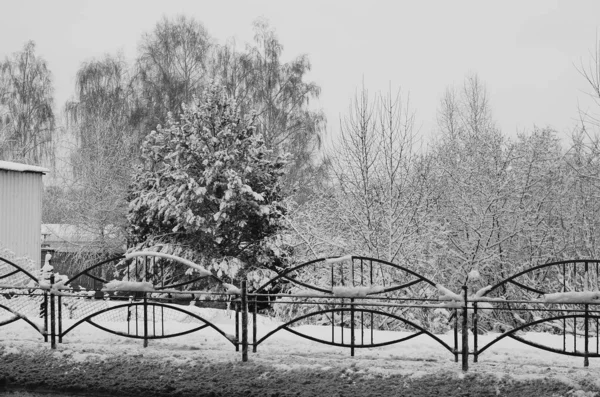 Nieve Paisaje Invierno Cubierta Madera Helada Vista —  Fotos de Stock