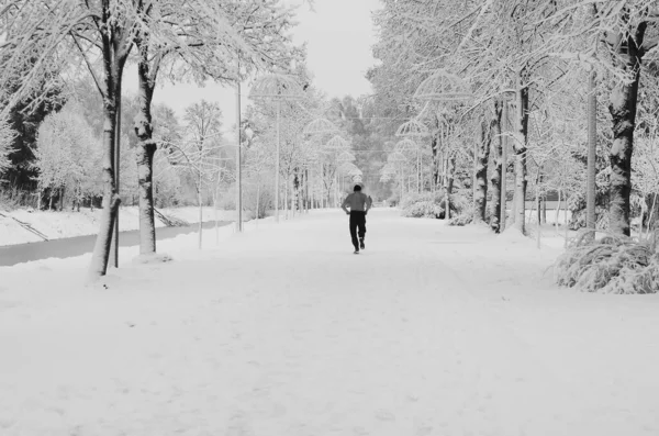 Schnee Landschaft Winter Bedeckt Holz Frost Blick — Stockfoto