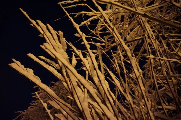 Snöig Vinterstad Natten — Stockfoto