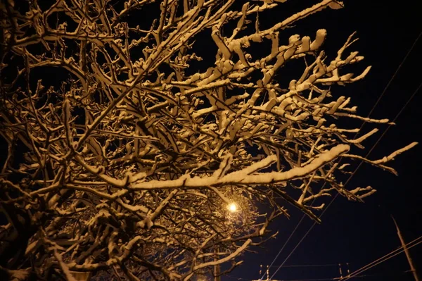 Ville Hiver Enneigée Dans Nuit — Photo