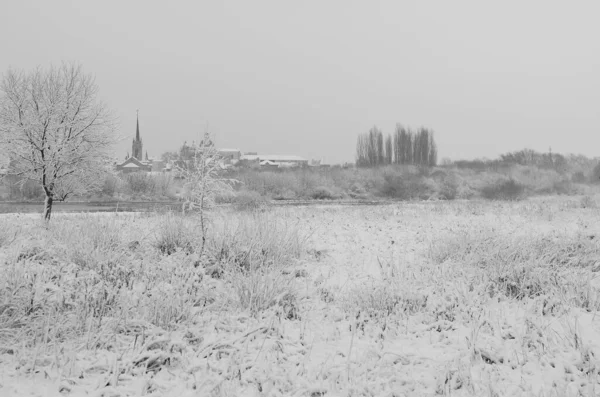 Nieve Paisaje Invierno Cubierta Madera Helada Vista — Foto de Stock