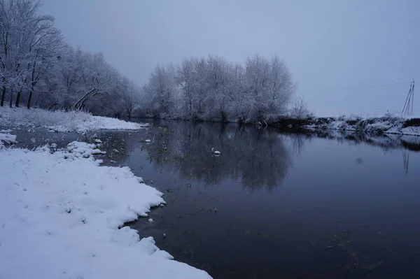 Řeka Zimě Strom Větve Pokryté White Frost — Stock fotografie
