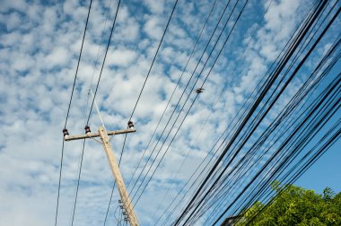 Güneş ışığında ayağı elektrik hattı .