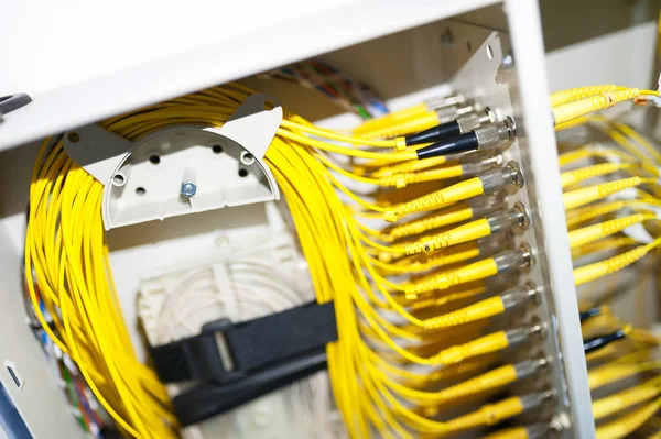 Fibra óptica com servidores em um data center de tecnologia — Fotografia de Stock