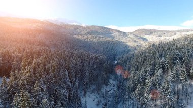 Snowy orman Dağları. Görünümü üst