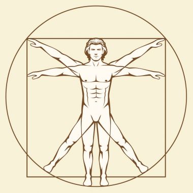 Leonardo Da Vinci Vetruvian Man