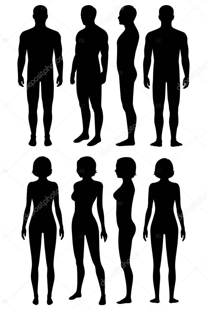 human body anatomy, front, back, side view, vector woman and man illustration 