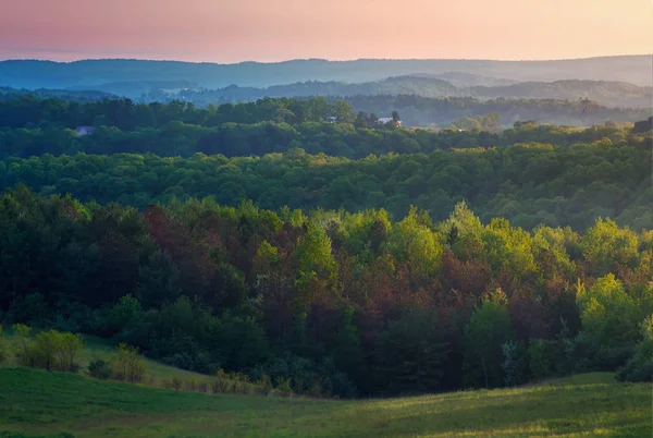 Лесные холмы с ярким солнечным светом — стоковое фото
