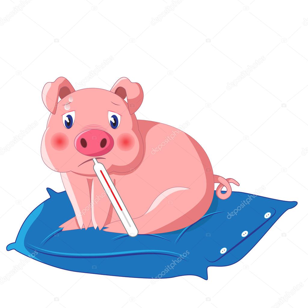 cute pig having swine flu