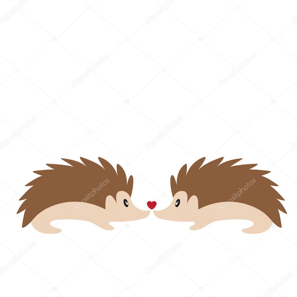 two cute hedgehogs in love