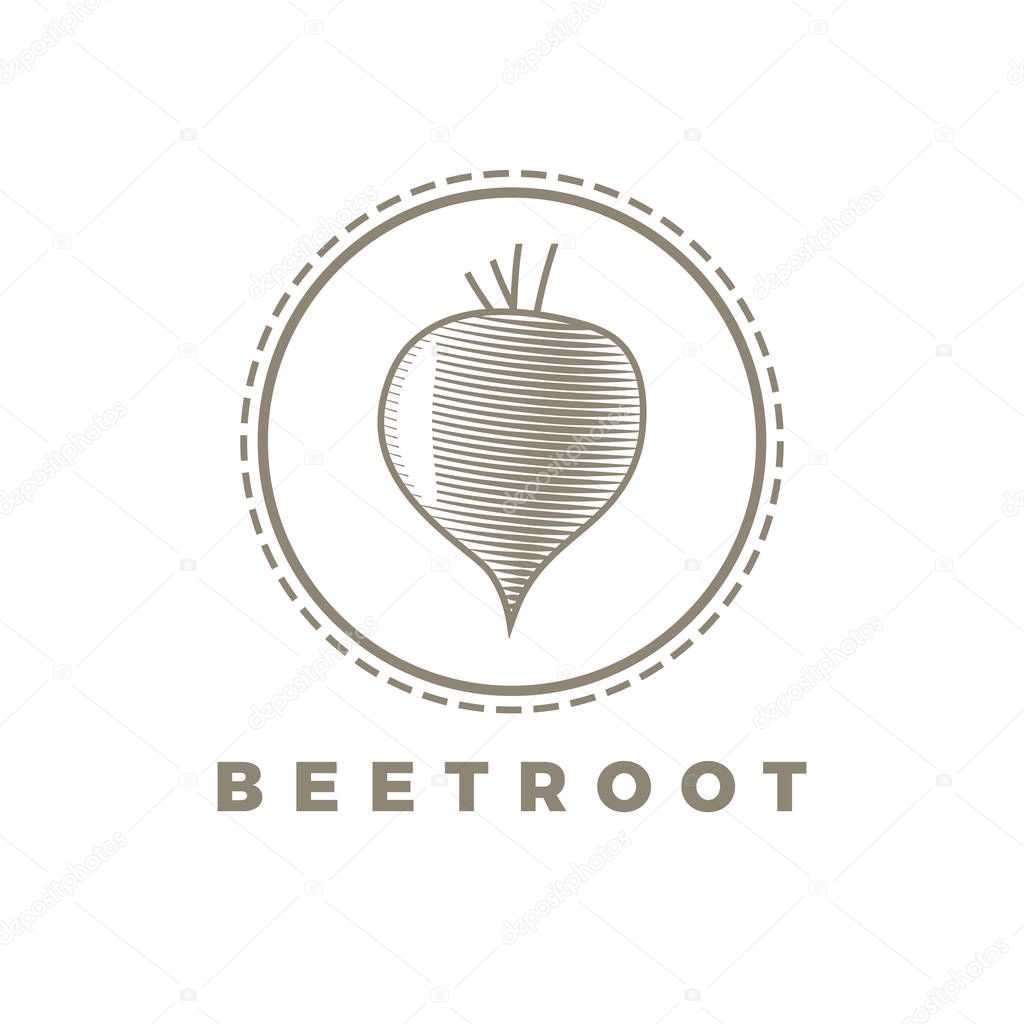 beetroot. vector illustration of label or vintage logo concept.