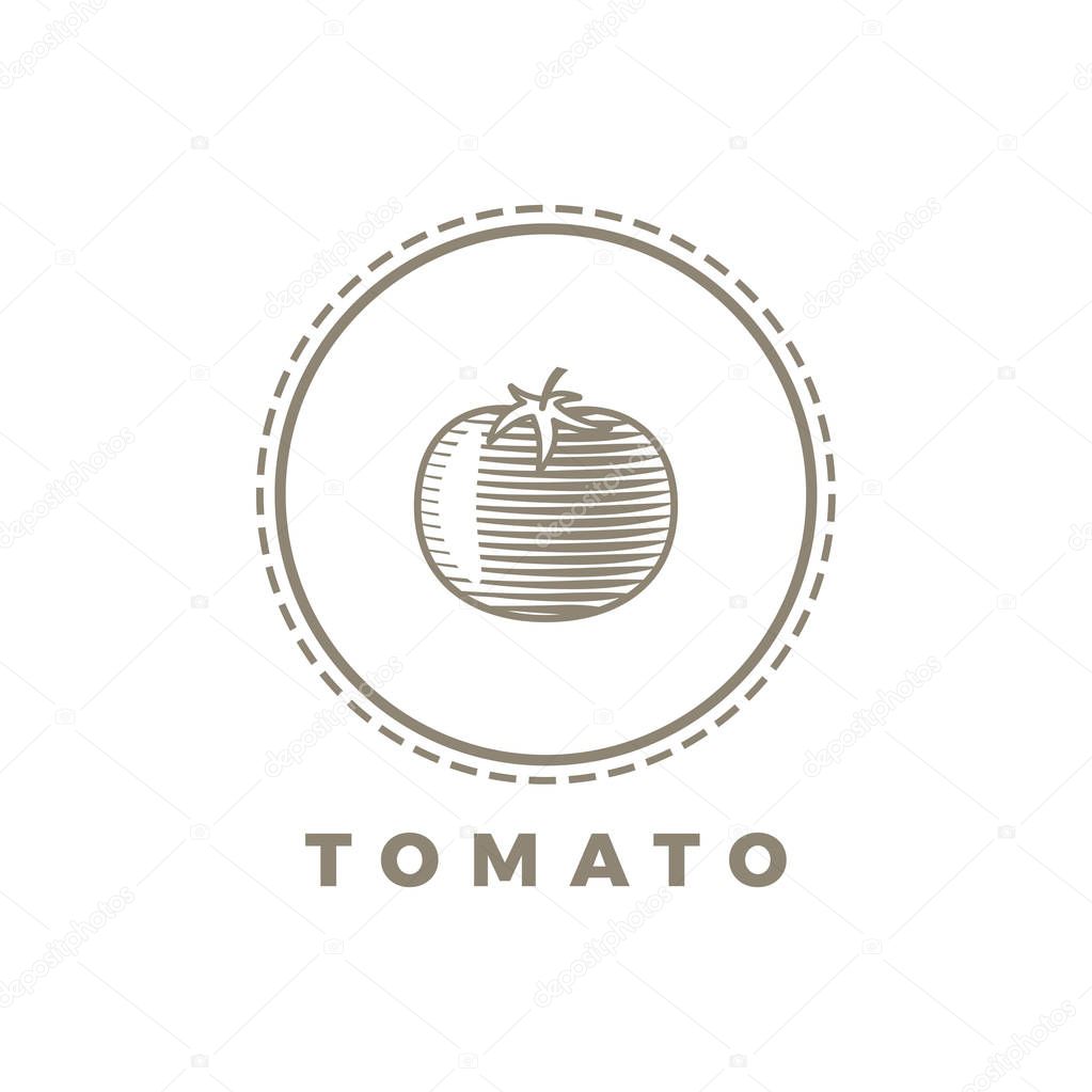 Tomato. vector illustration of label or vintage logo concept.