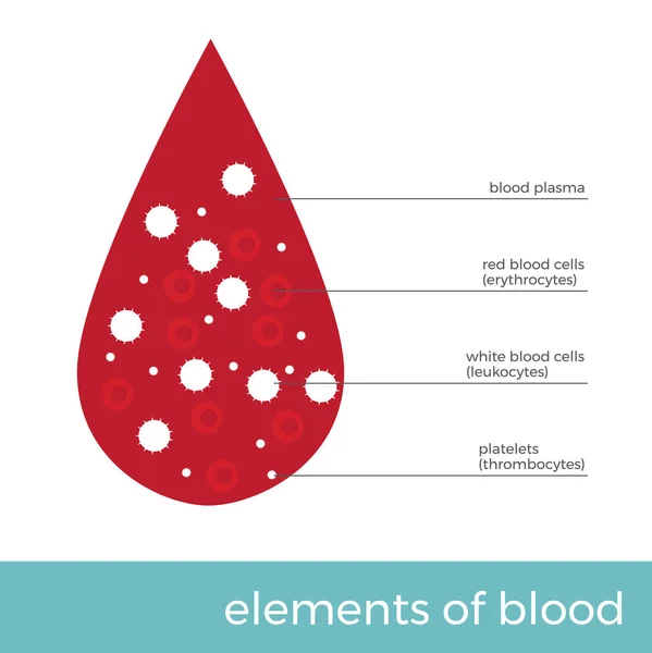 Vector Ilustración Elementos Sanguíneos Gota Sangre Con Células Principales Ella — Vector de stock
