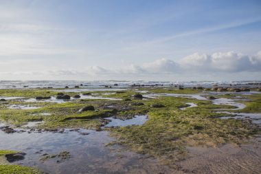 Portekiz okyanusun kıyısında kayalar