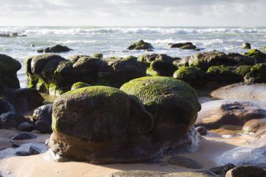 Portekiz okyanusun kıyısında kayalar