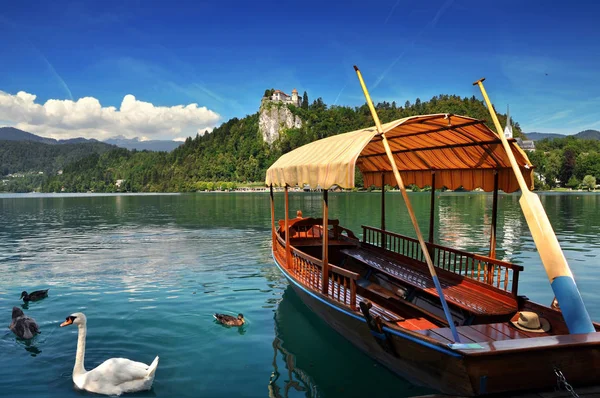 Traditional Pletna boat on the lake with swans. In the background is the famous old castle on the cliff.Bled lake Slovenia,Europe — Stock Photo, Image