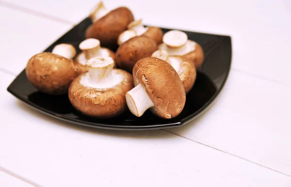 Královskou houby — Stock fotografie