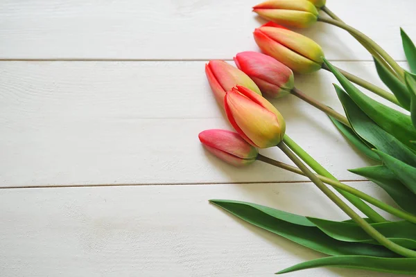 Czerwone tulipany na tle — Zdjęcie stockowe