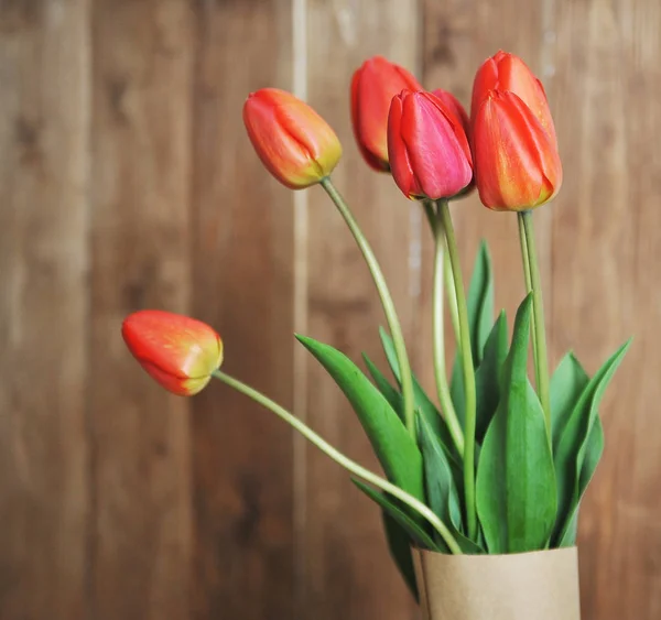 Červené tulipány na pozadí — Stock fotografie