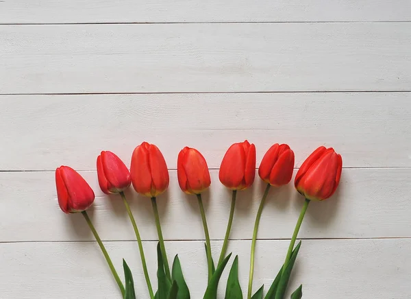 Červené tulipány na pozadí — Stock fotografie