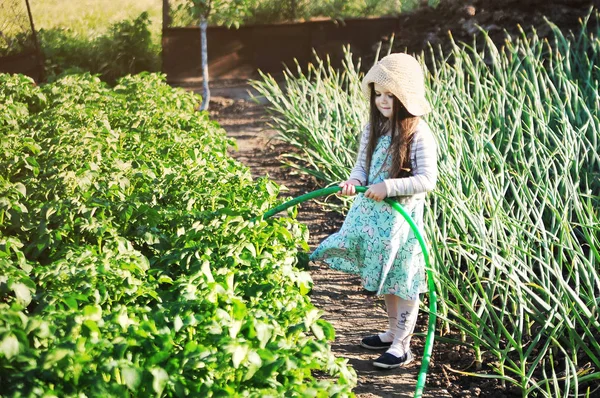 Linda Niña Jardín —  Fotos de Stock