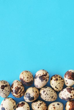 Bıldırcın yumurtasından mavi bir arka plan üzerinde 