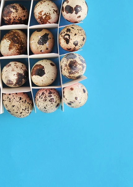 Quail Eggs Blue Background — Stock Photo, Image