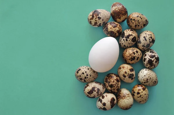 Quail Eggs Blue Background — Stock Photo, Image