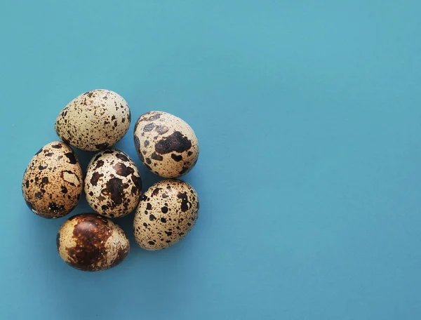 Quail Eggs Blue Background — Stock Photo, Image