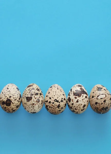 Quail Eggs Blue Background — Stock Photo, Image