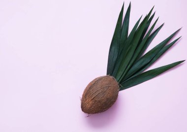 Renkli arka plan üzerinde Hindistan cevizi.