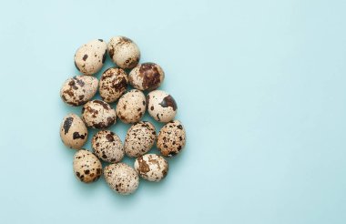 Bıldırcın yumurtası mavi zemin üzerine.